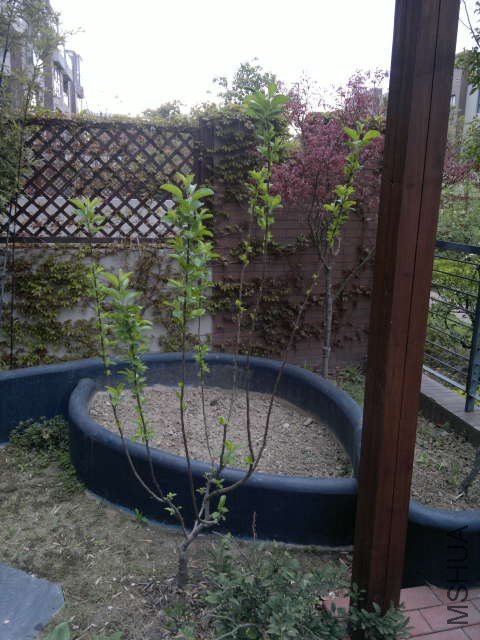 201104110cs2.jpg
