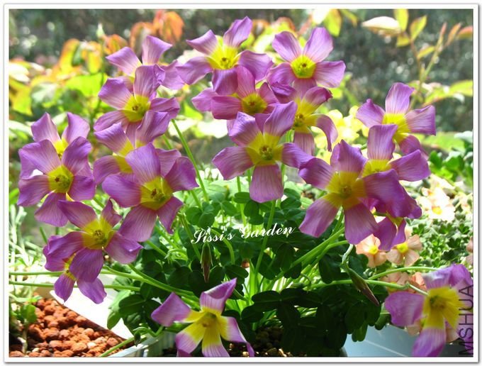 nEO_IMG_110408 048.jpg