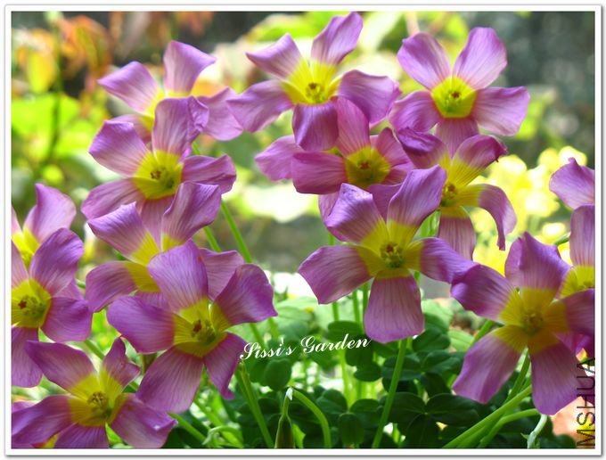 nEO_IMG_110408 050.jpg