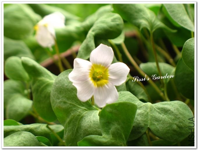 nEO_IMG_110408 082.jpg