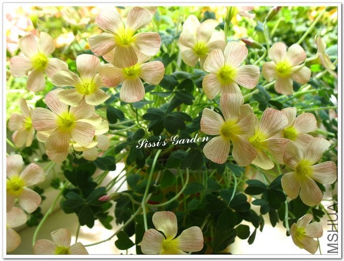 nEO_IMG_110408 068.jpg