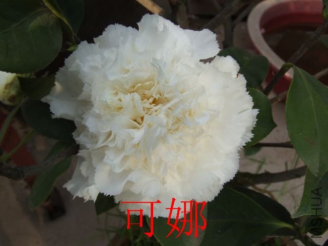 DSCF1073.jpg