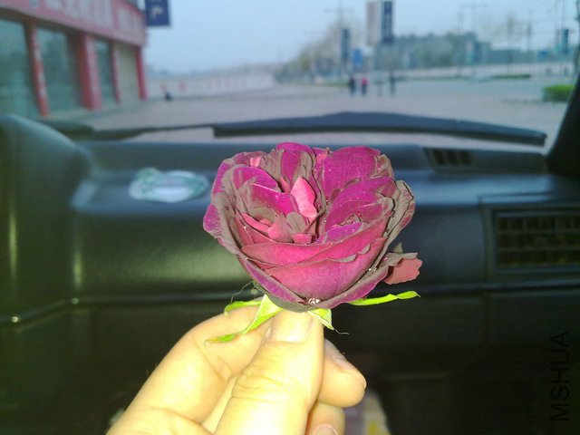 20110409415.jpg