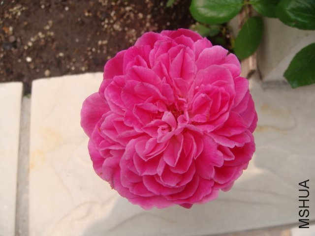 DSC00765.JPG