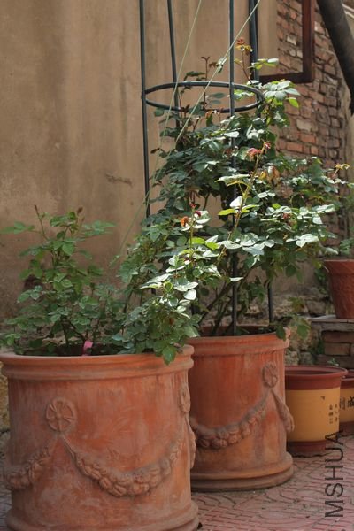 ��Ƭ 046.jpg