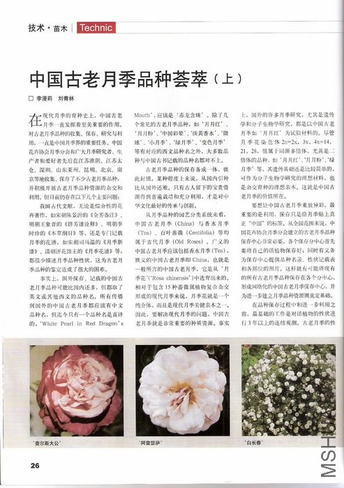 P26.jpg