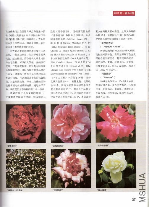 P27.jpg