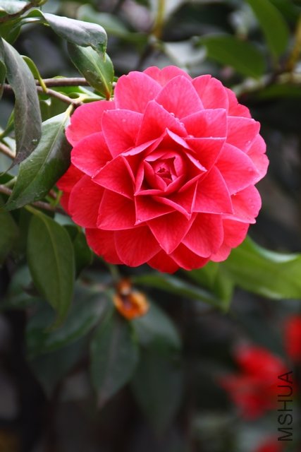 2011.04.13.�軨 015.jpg