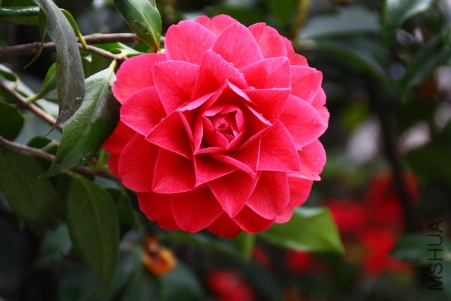 2011.04.13.�軨 006.jpg