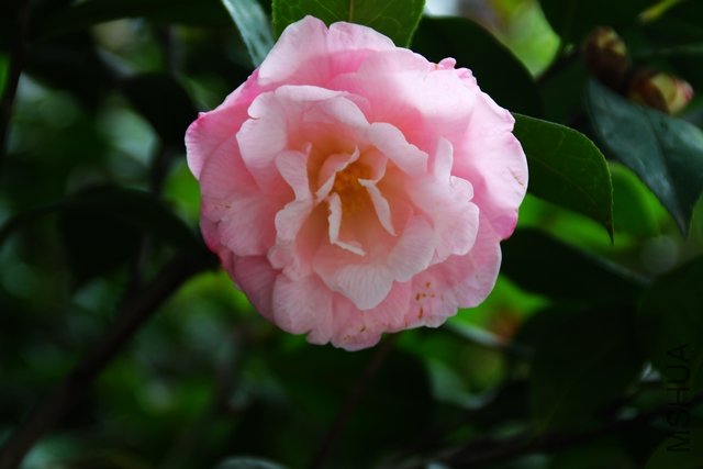 2011.04.13.�軨 051.jpg