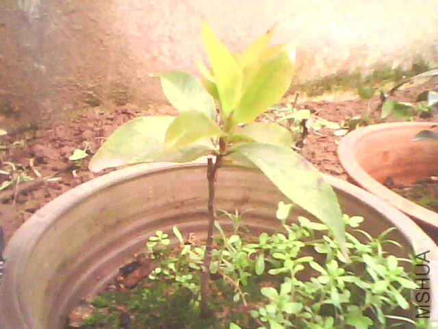 09�����ŵ��׿� һ���� ������001.jpg