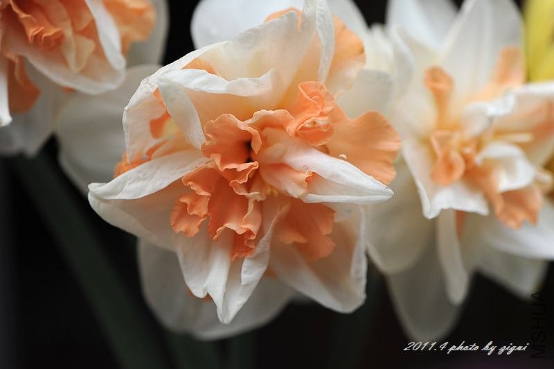 DSC_7659.jpg