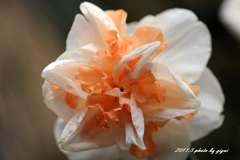 DSC_7650.jpg