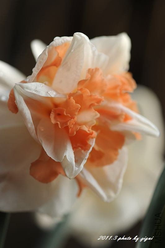 DSC_7649.jpg