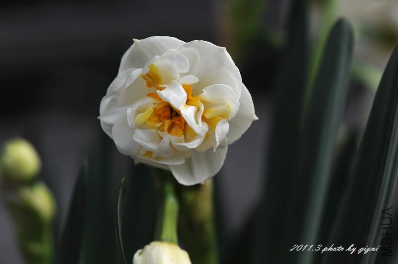 DSC_6469.jpg