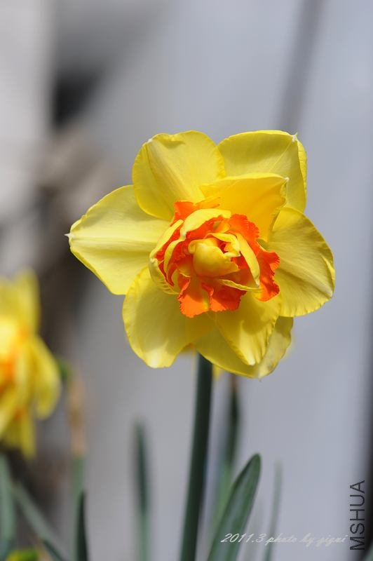 DSC_6474.jpg