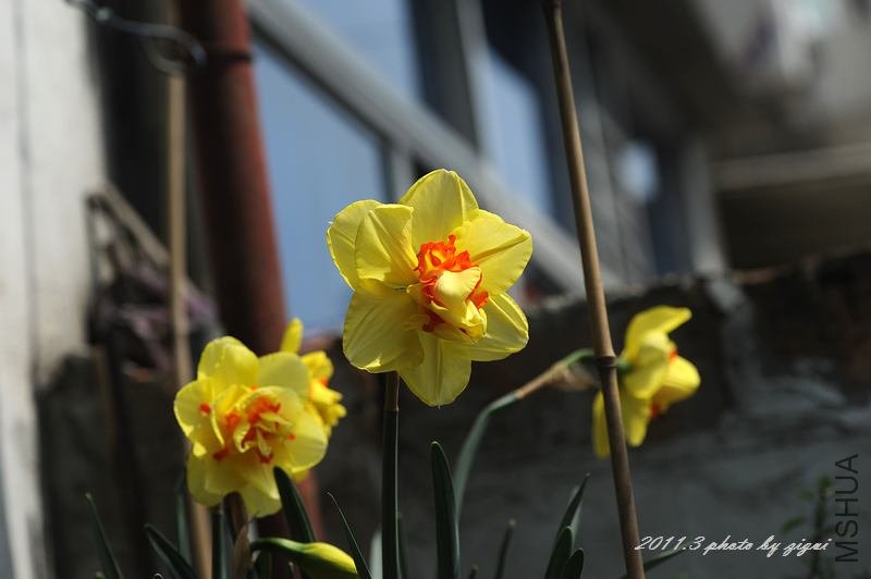 DSC_6637.jpg