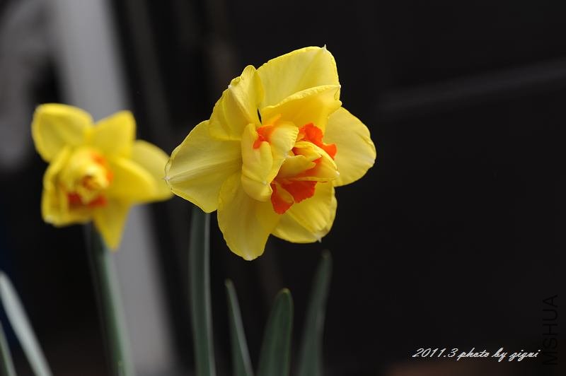 DSC_6479.jpg
