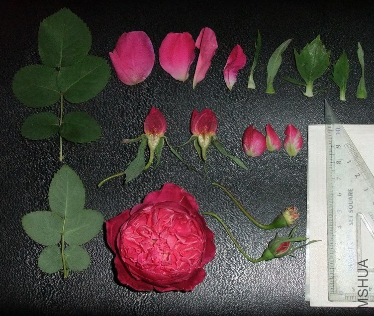 111.jpg