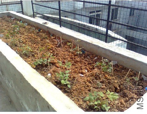 ��ͼ������