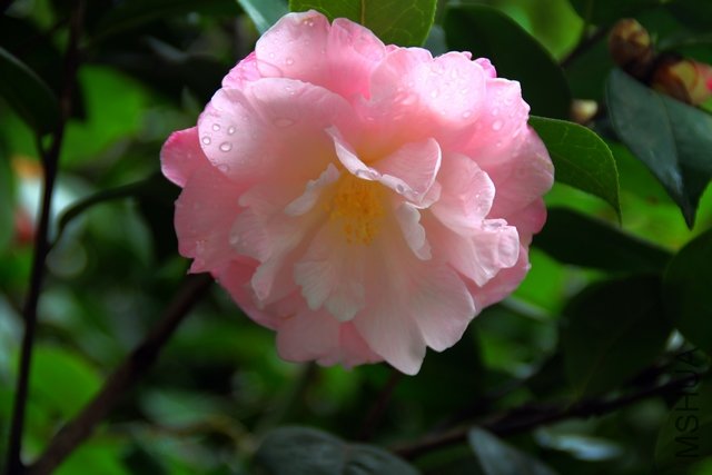 2011.04.14.�軨 007.jpg