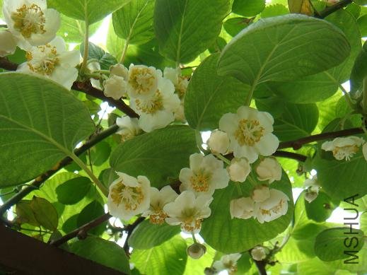 DSC04388.JPG