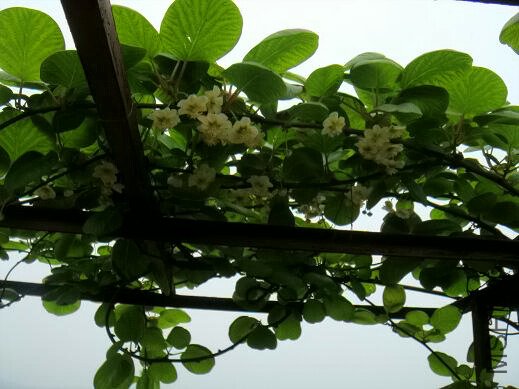 DSC04390.JPG