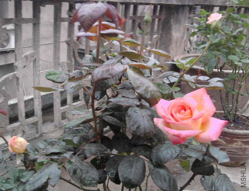 ��Ƭ0343.jpg