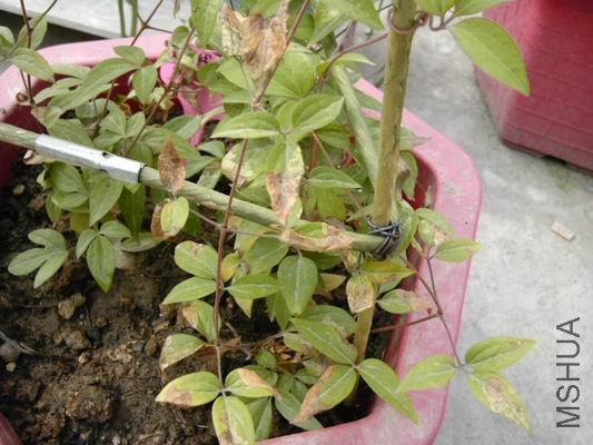 ������С C360_2011-04-14 10-04-46_org.jpg