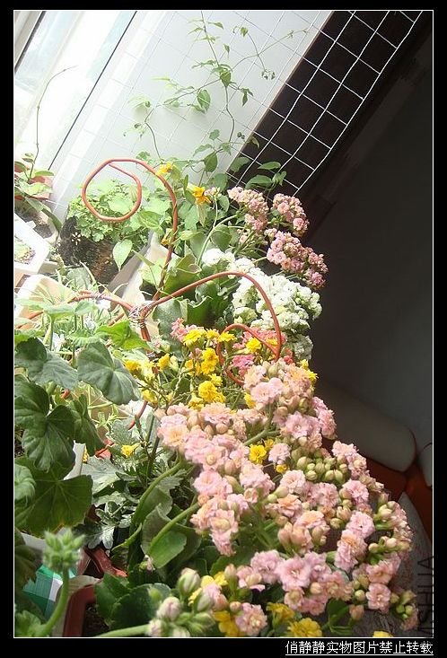 DSC08640.JPG