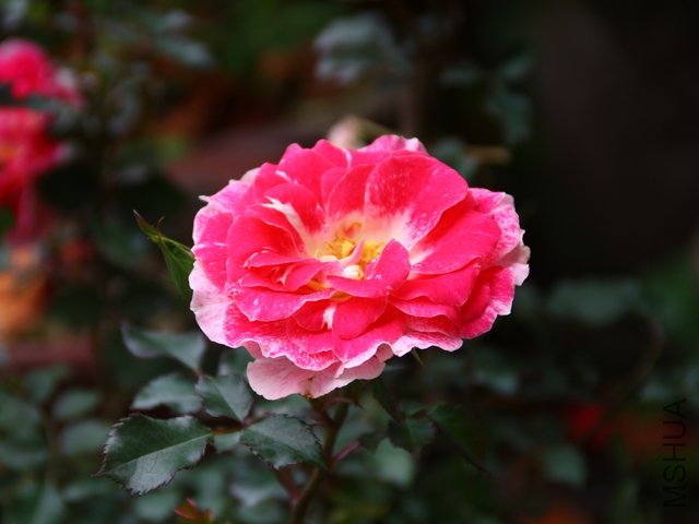 2011.04.15.΢���¼� 009.jpg