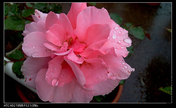 IMAG0690.jpg