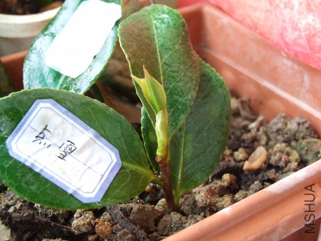 2011-04-11 002 (640x480).jpg