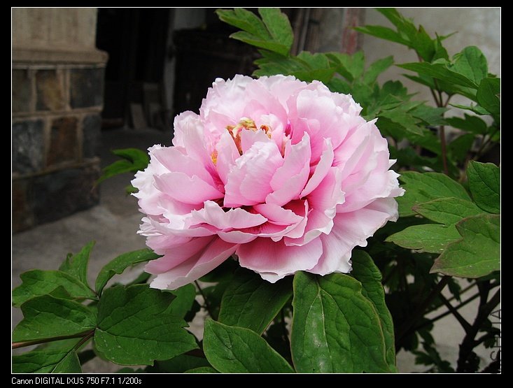 ĵ��2011 008.jpg