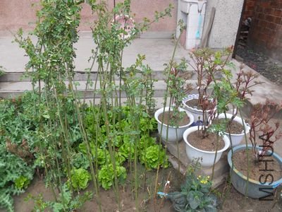 DSCN2349.jpg