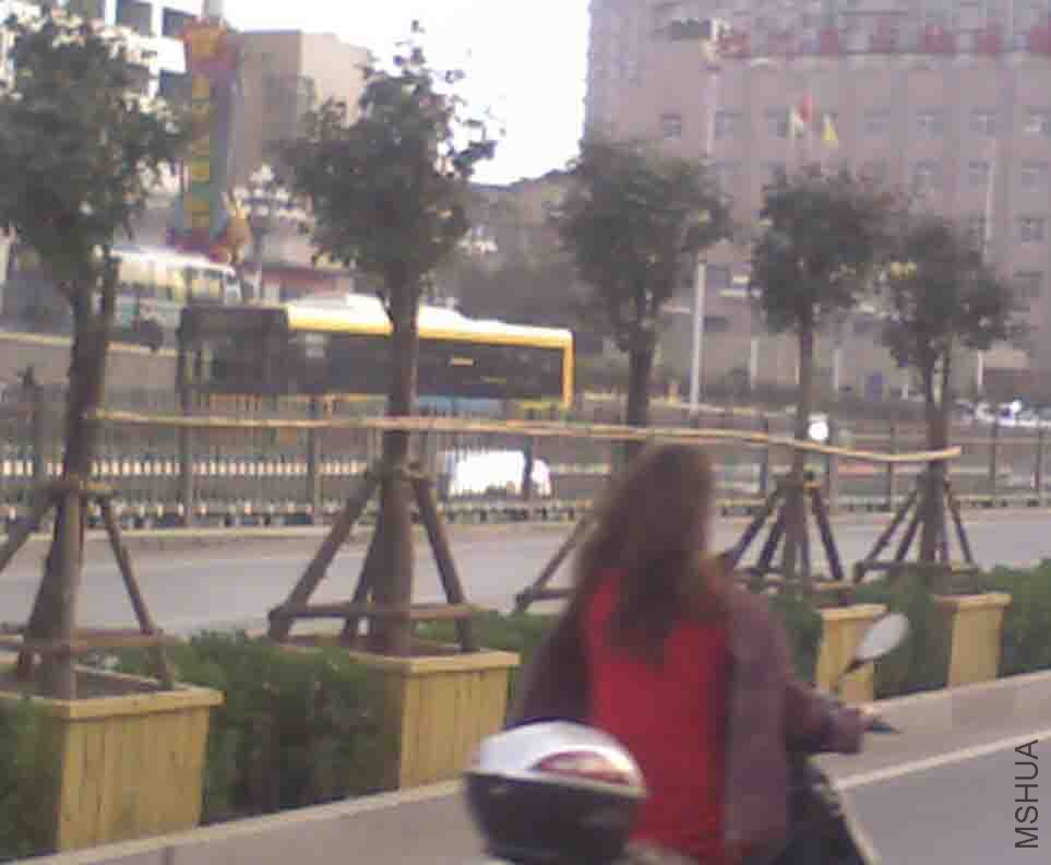 IMAGE_034.jpg