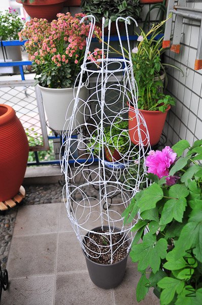 DSC_2661.JPG