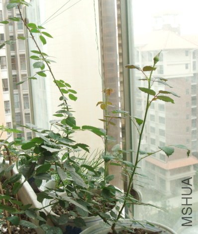 ��߸߸ߵ����ǲ��������ӵ���