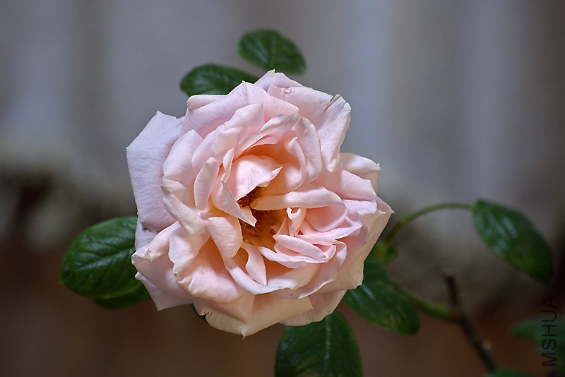 _IGP9781.jpg