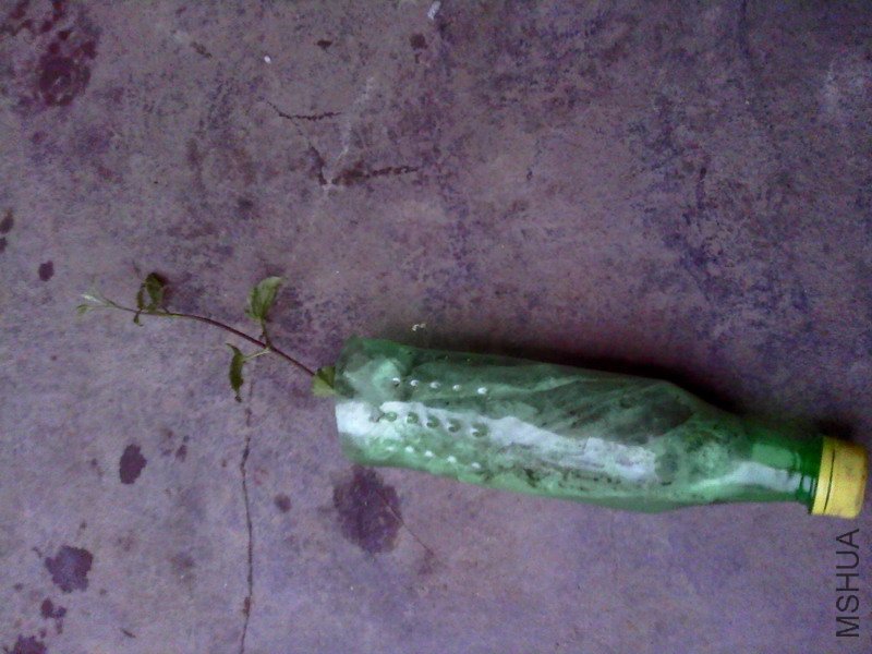 2011-04-17 19.14.02.JPG