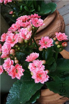 039_����.jpg