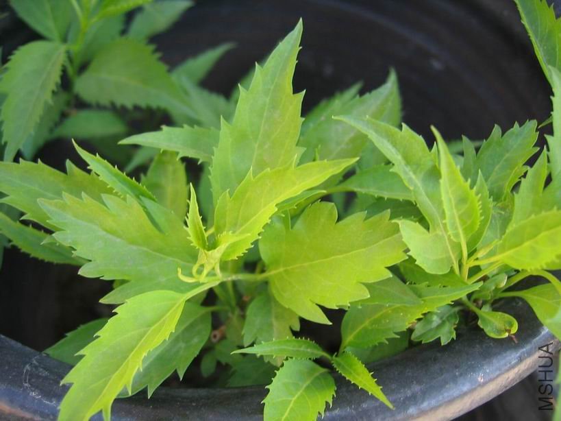 �������