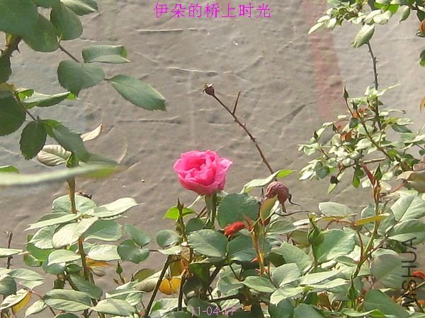 nEO_IMG_��Ƭ 139.jpg