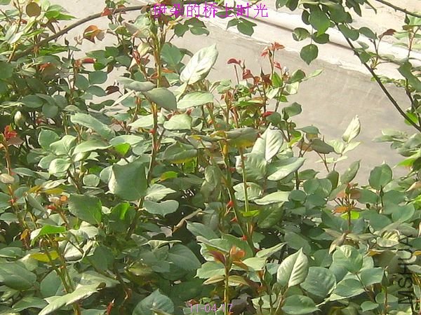 nEO_IMG_��Ƭ 140.jpg