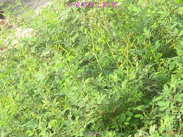 nEO_IMG_��Ƭ 142.jpg