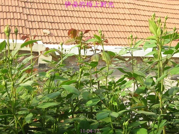 nEO_IMG_��Ƭ 145.jpg