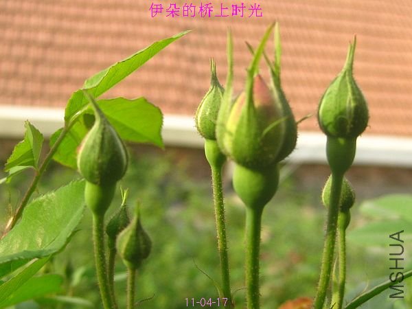 nEO_IMG_��Ƭ 147.jpg