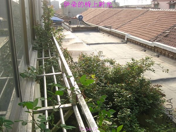 nEO_IMG_��Ƭ 150.jpg