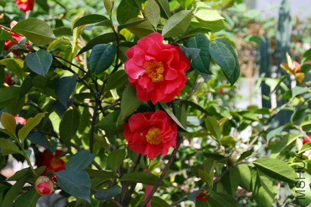 2011.04.19.�軨 001.jpg