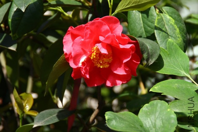 2011.04.19.�軨 034.jpg